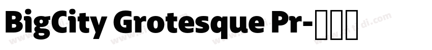 BigCity Grotesque Pr字体转换 BigCity Grotesque Pr字体转换